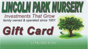 Lincoln-Park-Gift-Cards